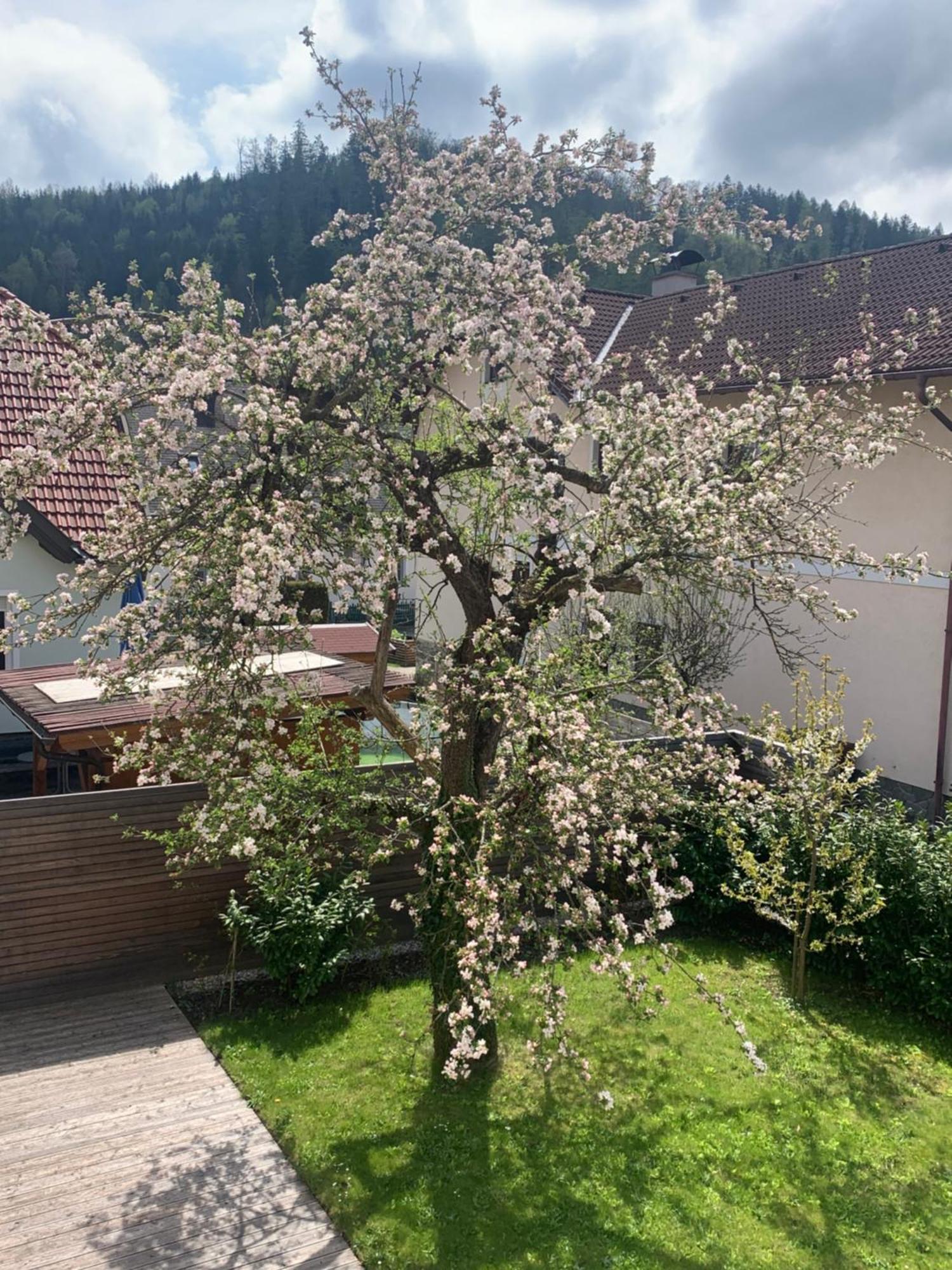 Haus Zwei Apartment Aspang Markt ภายนอก รูปภาพ